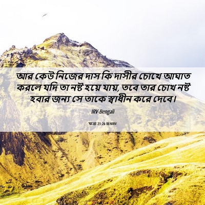 Picture 06 - যাত্ৰা 21:26 BENIRV - আর কেউ নিজের দাস কি - Bible Verse Picture