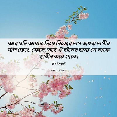 Picture 06 - যাত্ৰা 21:27 BENIRV - আর যদি আঘাত দিয়ে - Bible Verse Picture