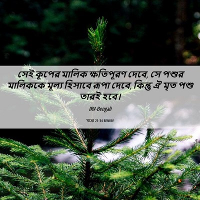 Picture 06 - যাত্ৰা 21:34 BENIRV - সেই কূপের মালিক - Bible Verse Picture