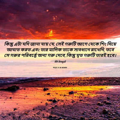 Picture 06 - যাত্ৰা 21:36 BENIRV - কিন্তু এটা যদি - Bible Verse Picture