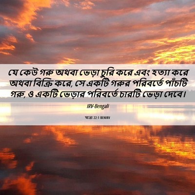 Picture 06 - যাত্ৰা 22:1 BENIRV - যে কেউ গরু অথবা - Bible Verse Picture