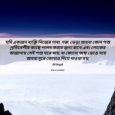 Picture 06 - যাত্ৰা 22:10 BENIRV - যদি একজন ব্যক্তি - Bible Verse Picture