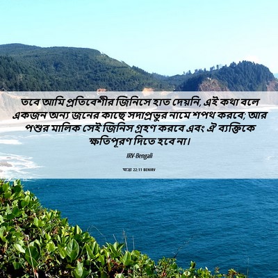 Picture 06 - যাত্ৰা 22:11 BENIRV - তবে আমি - Bible Verse Picture