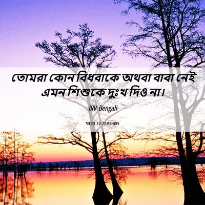 Picture 06 - যাত্ৰা 22:22 BENIRV - তোমরা কোন বিধবাকে - Bible Verse Picture