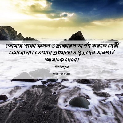 Picture 06 - যাত্ৰা 22:29 BENIRV - তোমার পাকা ফসল ও - Bible Verse Picture