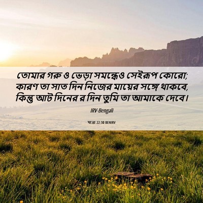 Picture 06 - যাত্ৰা 22:30 BENIRV - তোমার গরু ও ভেড়া - Bible Verse Picture