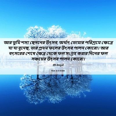 Picture 06 - যাত্ৰা 23:16 BENIRV - আর তুমি শস্য - Bible Verse Picture