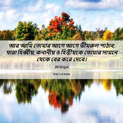 Picture 06 - যাত্ৰা 23:28 BENIRV - আর আমি তোমার আগে - Bible Verse Picture