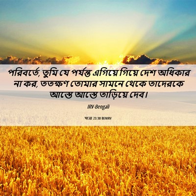 Picture 06 - যাত্ৰা 23:30 BENIRV - পরিবর্তে, তুমি যে - Bible Verse Picture