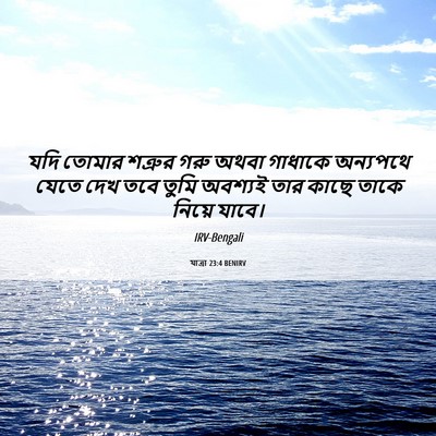 Picture 06 - যাত্ৰা 23:4 BENIRV - যদি তোমার শত্রুর - Bible Verse Picture