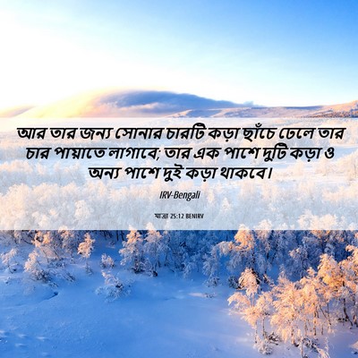 Picture 06 - যাত্ৰা 25:12 BENIRV - আর তার জন্য সোনার - Bible Verse Picture