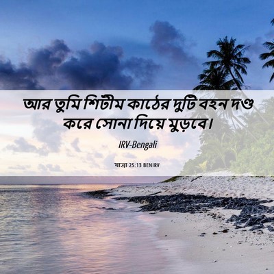 Picture 06 - যাত্ৰা 25:13 BENIRV - আর তুমি শিটীম - Bible Verse Picture