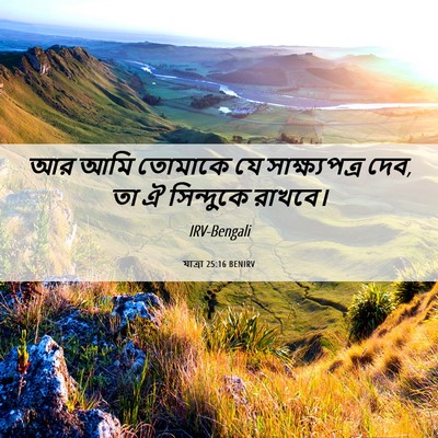 Picture 06 - যাত্ৰা 25:16 BENIRV - আর আমি তোমাকে যে - Bible Verse Picture