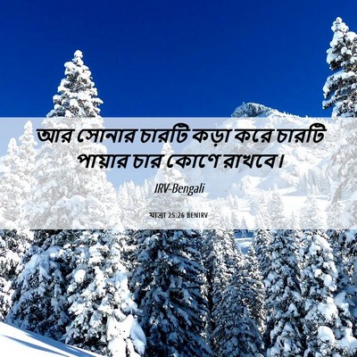 Picture 06 - যাত্ৰা 25:26 BENIRV - আর সোনার চারটি - Bible Verse Picture