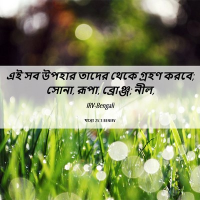 Picture 06 - যাত্ৰা 25:3 BENIRV - এই সব উপহার তাদের - Bible Verse Picture