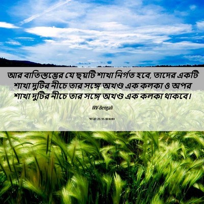 Picture 06 - যাত্ৰা 25:35 BENIRV - আর বাতিস্তম্ভের - Bible Verse Picture