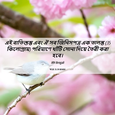 Picture 06 - যাত্ৰা 25:39 BENIRV - এই বাতিস্তম্ভ এবং - Bible Verse Picture