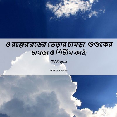 Picture 06 - যাত্ৰা 25:5 BENIRV - ও রক্তের রঙের - Bible Verse Picture