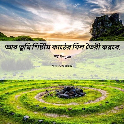 Picture 06 - যাত্ৰা 26:26 BENIRV - আর তুমি শিটীম - Bible Verse Picture
