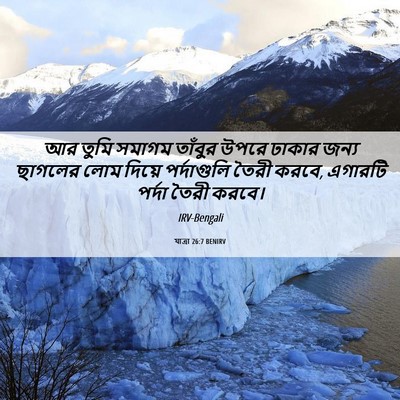 Picture 06 - যাত্ৰা 26:7 BENIRV - আর তুমি সমাগম - Bible Verse Picture