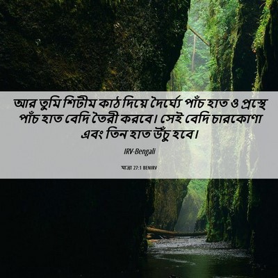 Picture 06 - যাত্ৰা 27:1 BENIRV - আর তুমি শিটীম কাঠ - Bible Verse Picture