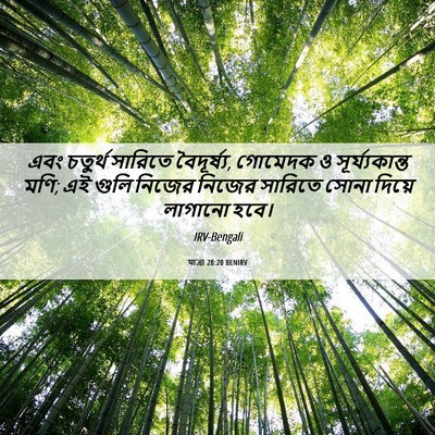 Picture 06 - যাত্ৰা 28:20 BENIRV - এবং চতুর্থ সারিতে - Bible Verse Picture