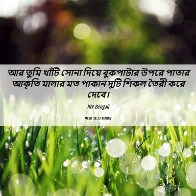 Picture 06 - যাত্ৰা 28:22 BENIRV - আর তুমি খাঁটি সোনা - Bible Verse Picture