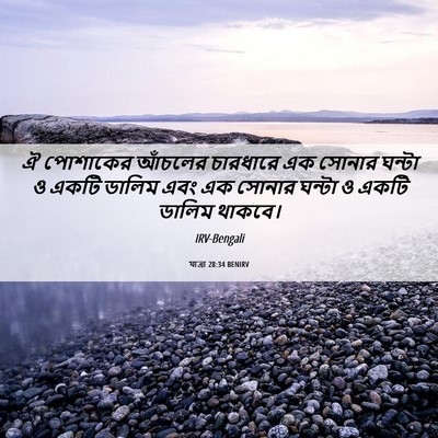 Picture 06 - যাত্ৰা 28:34 BENIRV - ঐ পোশাকের আঁচলের - Bible Verse Picture