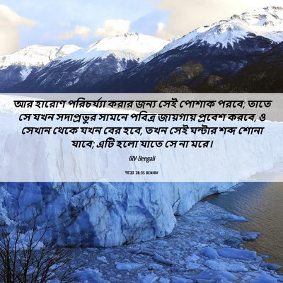 Picture 06 - যাত্ৰা 28:35 BENIRV - আর হারোণ - Bible Verse Picture