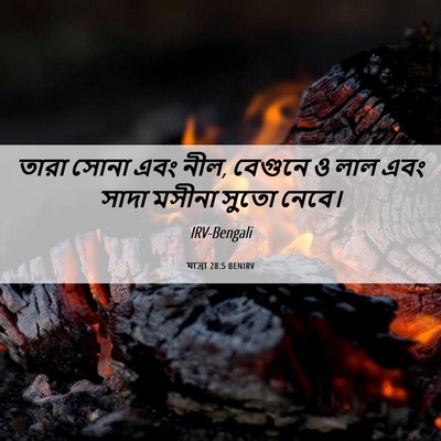 Picture 06 - যাত্ৰা 28:5 BENIRV - তারা সোনা এবং নীল, - Bible Verse Picture