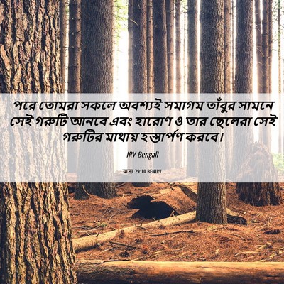 Picture 06 - যাত্ৰা 29:10 BENIRV - পরে তোমরা সকলে - Bible Verse Picture
