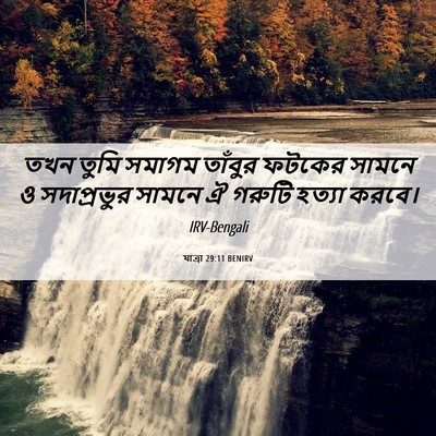 Picture 06 - যাত্ৰা 29:11 BENIRV - তখন তুমি সমাগম - Bible Verse Picture