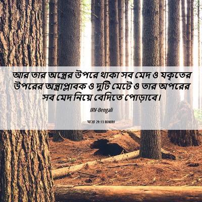 Picture 06 - যাত্ৰা 29:13 BENIRV - আর তার অন্ত্রের - Bible Verse Picture