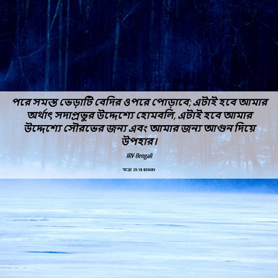 Picture 06 - যাত্ৰা 29:18 BENIRV - পরে সমস্ত ভেড়াটি - Bible Verse Picture