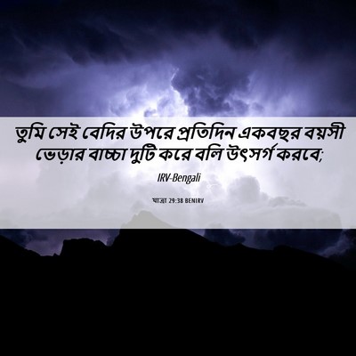 Picture 06 - যাত্ৰা 29:38 BENIRV - তুমি সেই বেদির - Bible Verse Picture