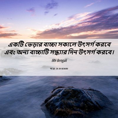 Picture 06 - যাত্ৰা 29:39 BENIRV - একটি ভেড়ার - Bible Verse Picture
