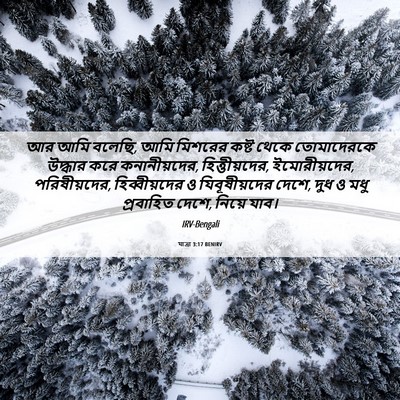 Picture 06 - যাত্ৰা 3:17 BENIRV - আর আমি বলেছি, আমি - Bible Verse Picture