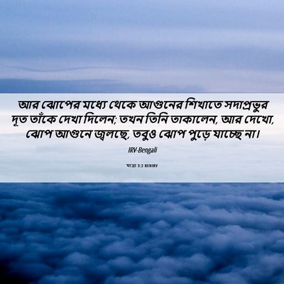 Picture 06 - যাত্ৰা 3:2 BENIRV - আর ঝোপের মধ্যে - Bible Verse Picture