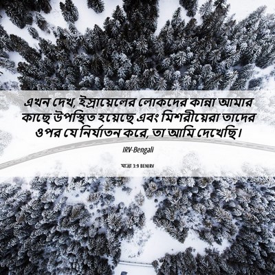 Picture 06 - যাত্ৰা 3:9 BENIRV - এখন দেখ, - Bible Verse Picture