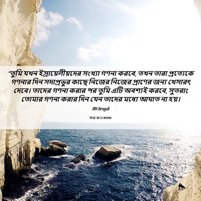 Picture 06 - যাত্ৰা 30:12 BENIRV - “তুমি যখন - Bible Verse Picture