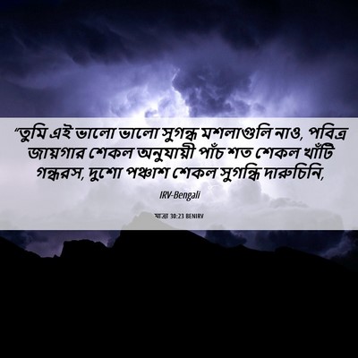 Picture 06 - যাত্ৰা 30:23 BENIRV - “তুমি এই ভালো ভালো - Bible Verse Picture