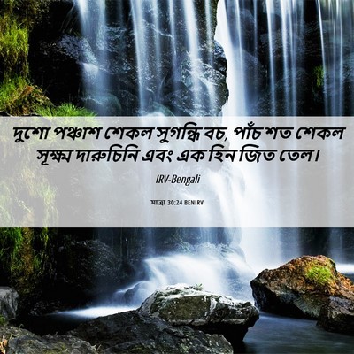Picture 06 - যাত্ৰা 30:24 BENIRV - দুশো পঞ্চাশ শেকল - Bible Verse Picture