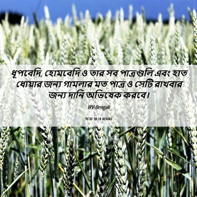 Picture 06 - যাত্ৰা 30:28 BENIRV - ধূপবেদি, হোমবেদি ও - Bible Verse Picture