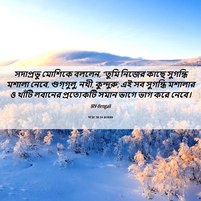 Picture 06 - যাত্ৰা 30:34 BENIRV - সদাপ্রভু মোশিকে - Bible Verse Picture