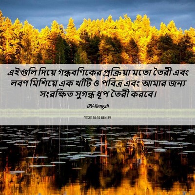 Picture 06 - যাত্ৰা 30:35 BENIRV - এইগুলি দিয়ে - Bible Verse Picture