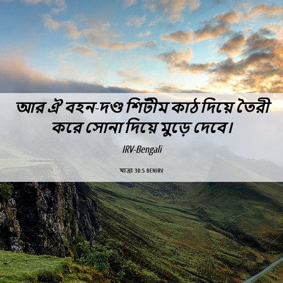 Picture 06 - যাত্ৰা 30:5 BENIRV - আর ঐ বহন-দণ্ড শিটীম - Bible Verse Picture