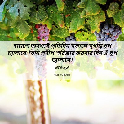 Picture 06 - যাত্ৰা 30:7 BENIRV - হারোণ অবশ্যই - Bible Verse Picture