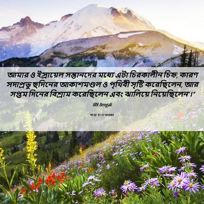 Picture 06 - যাত্ৰা 31:17 BENIRV - আমার ও ইস্রায়েল - Bible Verse Picture