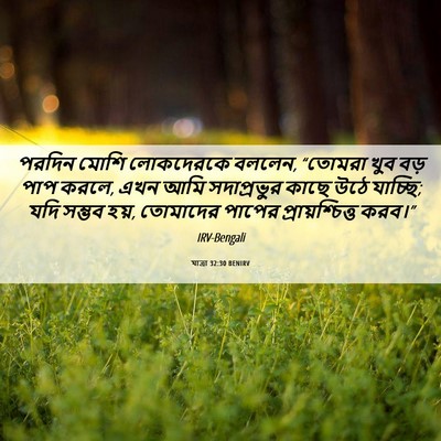 Picture 06 - যাত্ৰা 32:30 BENIRV - পরদিন মোশি - Bible Verse Picture