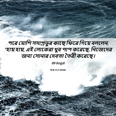 Picture 06 - যাত্ৰা 32:31 BENIRV - পরে মোশি - Bible Verse Picture